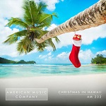 AMC 232 - Christmas in Hawaii