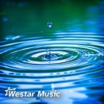 WSR611 - Rain on the Pond